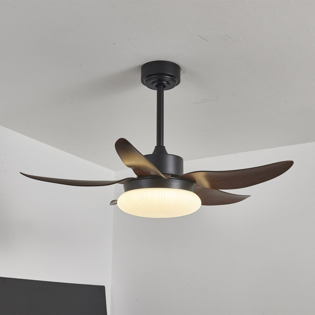 Aero Palm Ceiling Fan Light – product view 2
