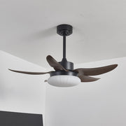 Walnut Wood Grain & Black & White