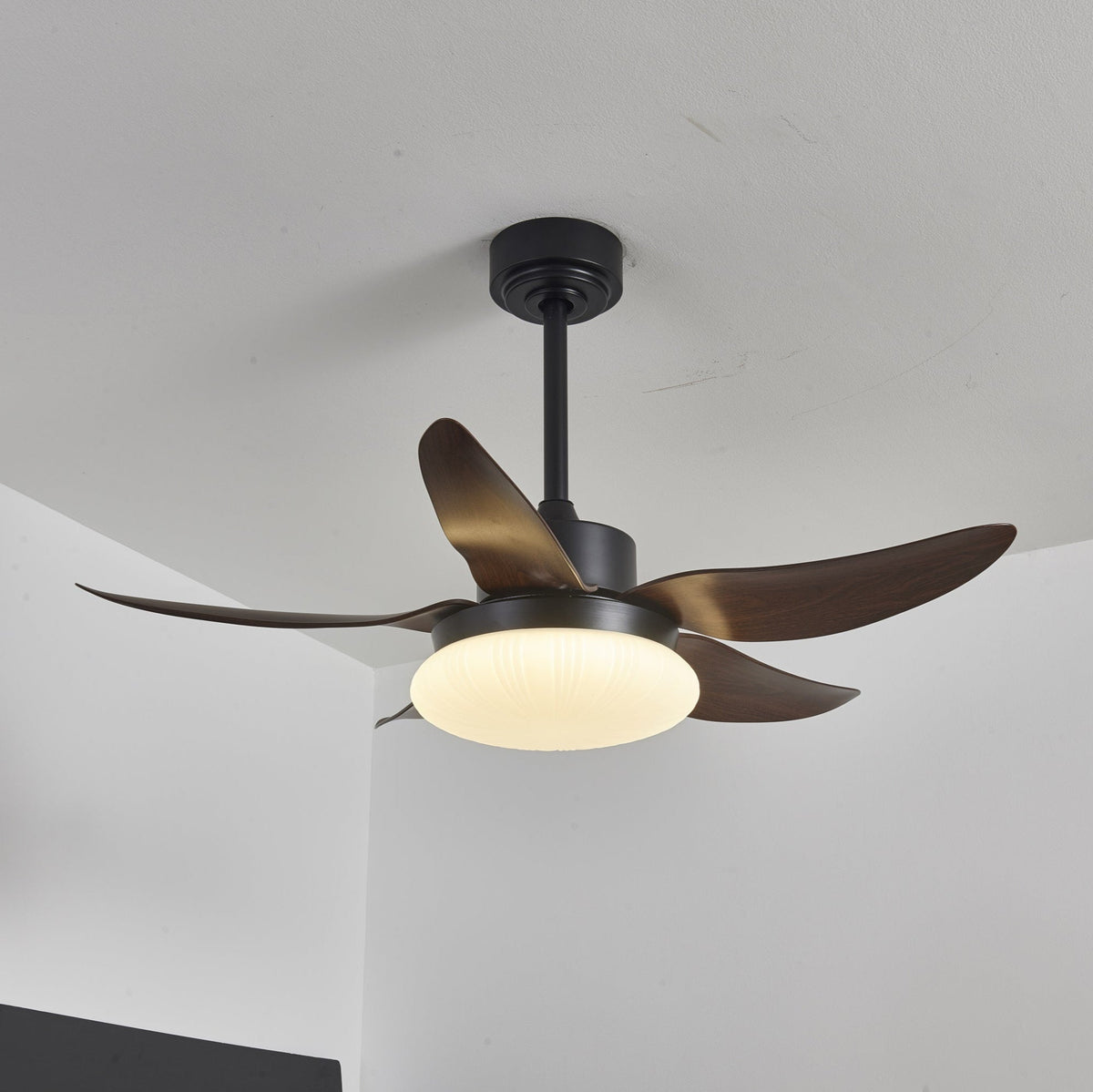 Aero Palm Ceiling Fan Light – product view 7