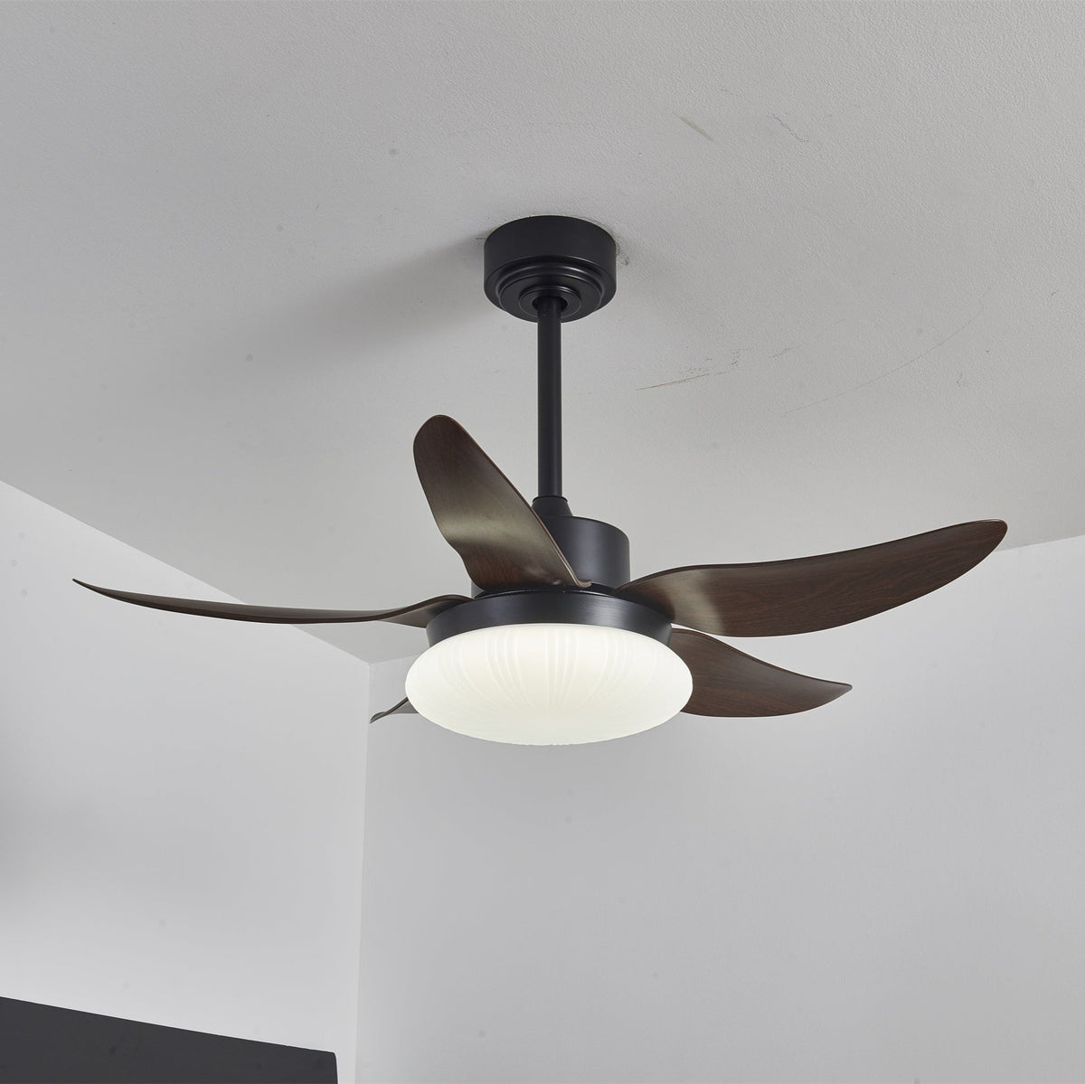 Aero Palm Ceiling Fan Light – product view 8