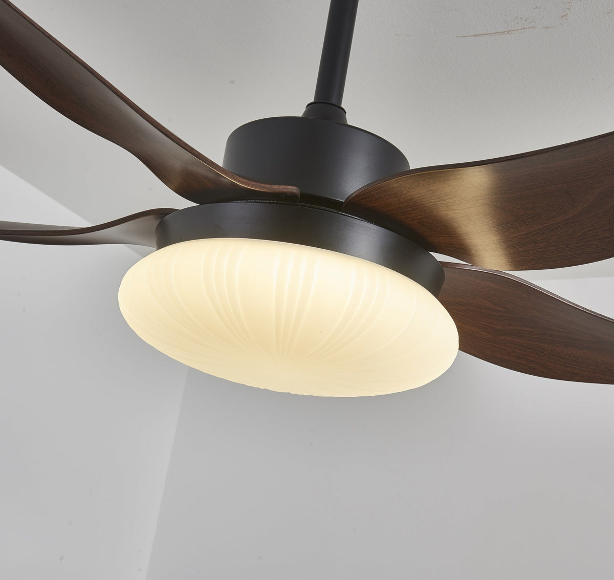 Aero Palm Ceiling Fan Light – product view 11