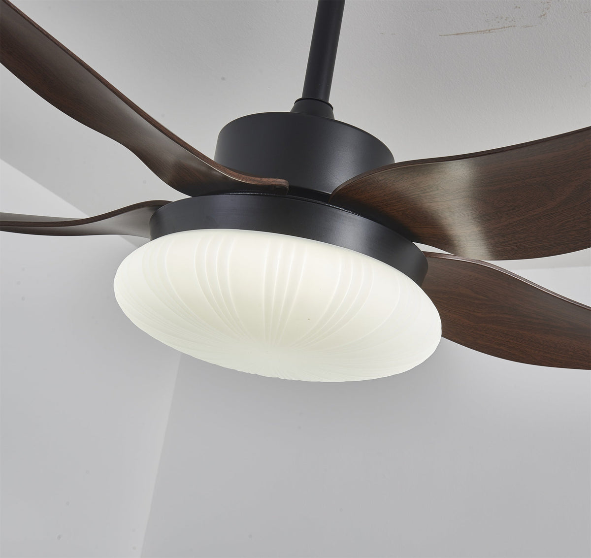 Aero Palm Ceiling Fan Light – product view 12
