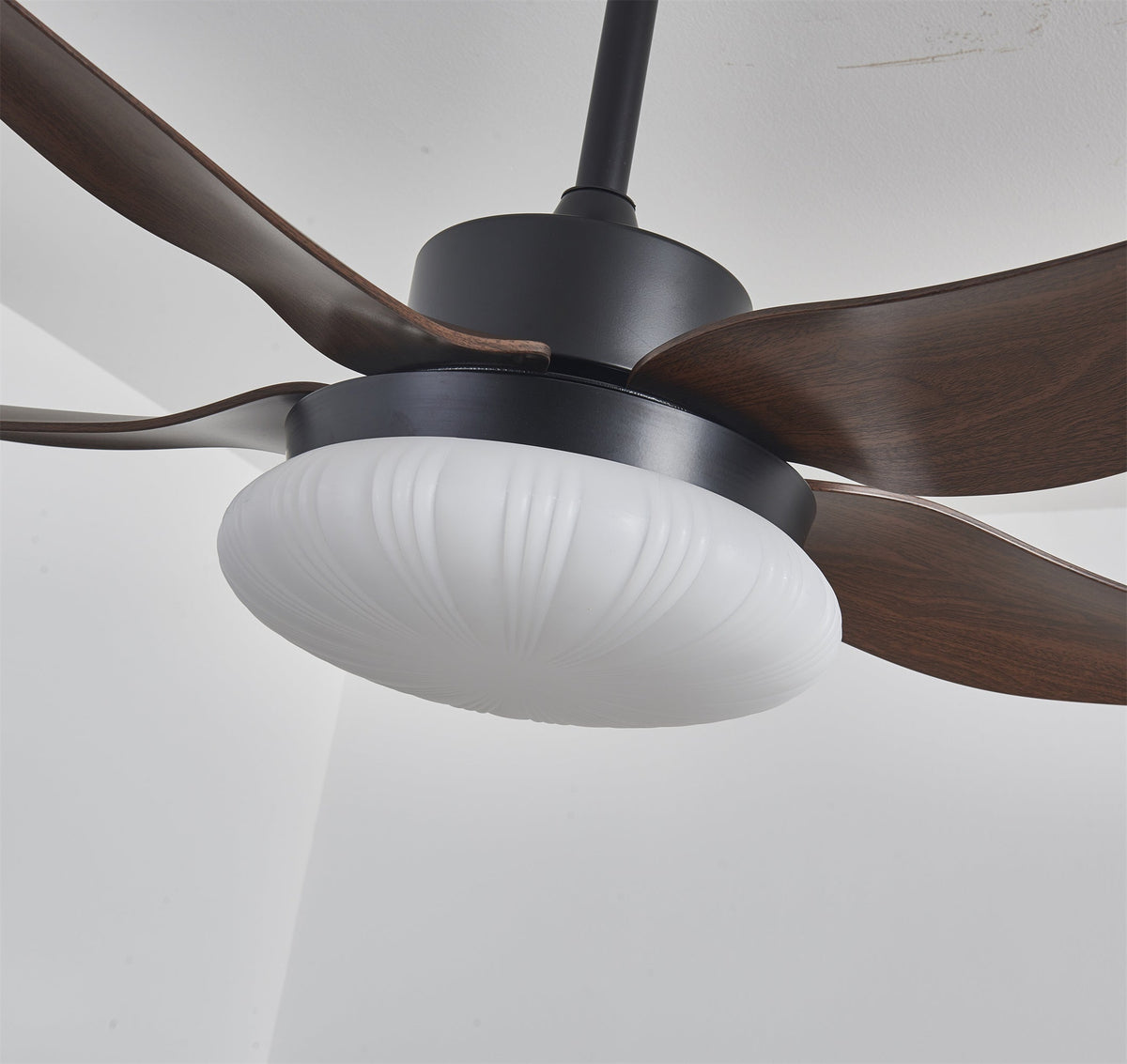 Aero Palm Ceiling Fan Light – product view 13