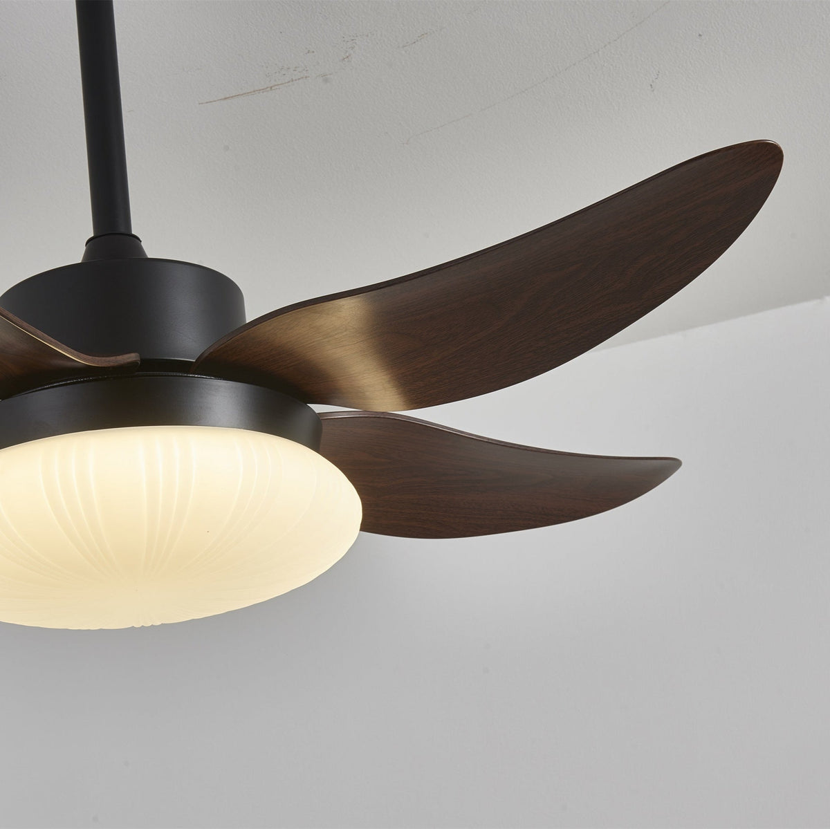 Aero Palm Ceiling Fan Light – product view 14