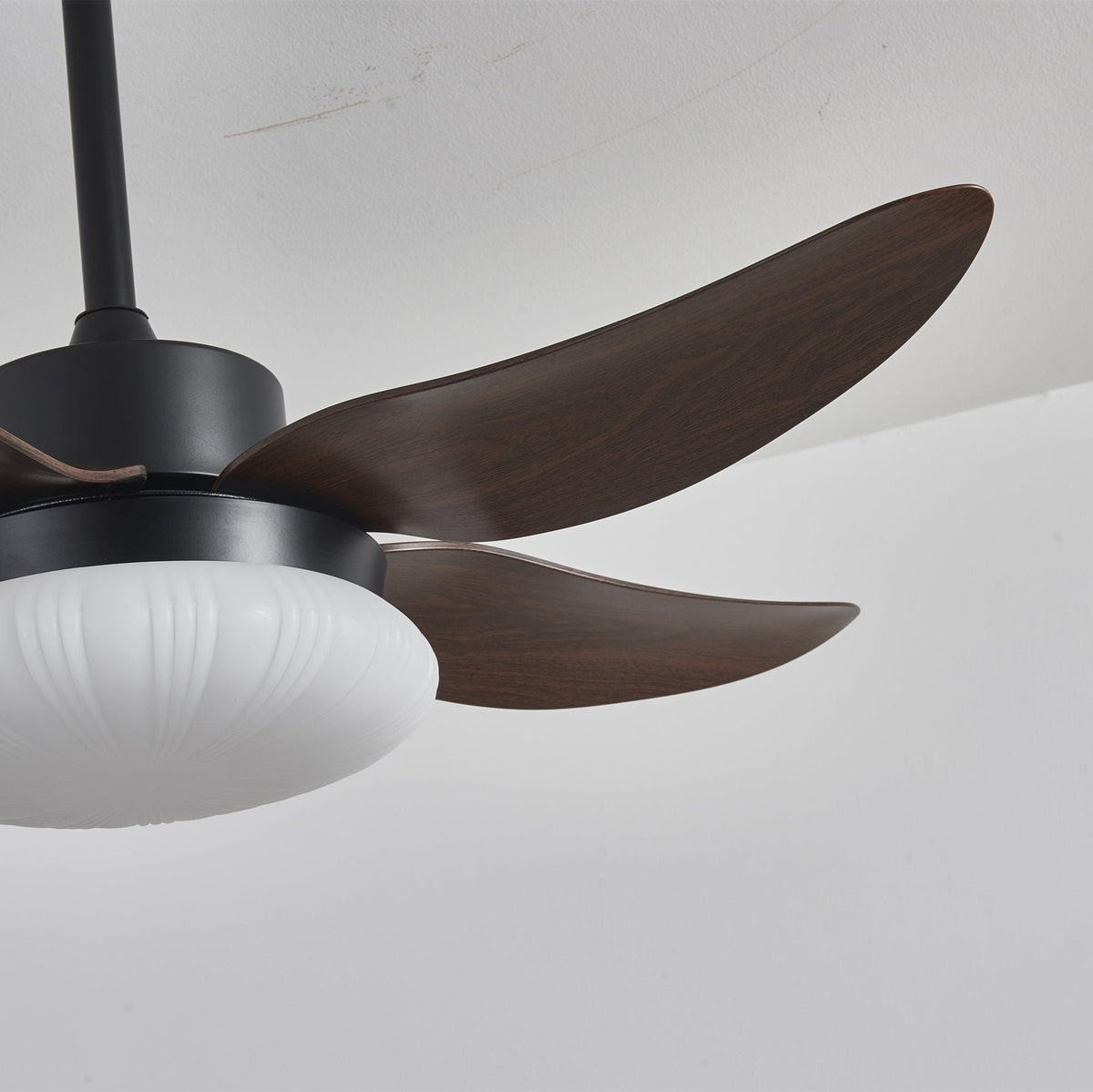 Aero Palm Ceiling Fan Light – product view 15
