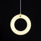 Alabaster Ring Pendant Light – product view 12