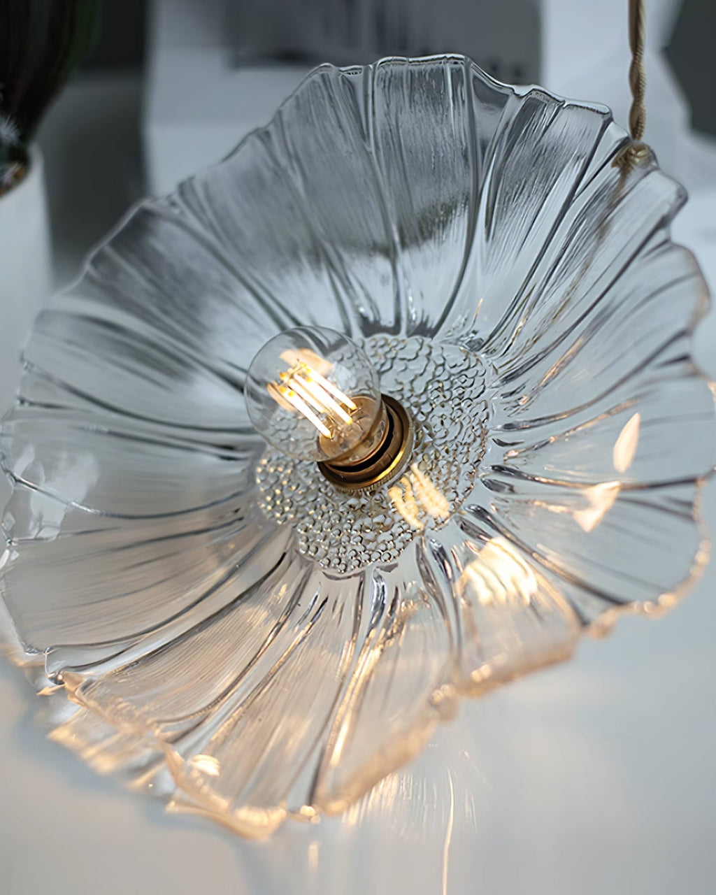 Flower Glass Plug In Pendant Lamp — product view 27