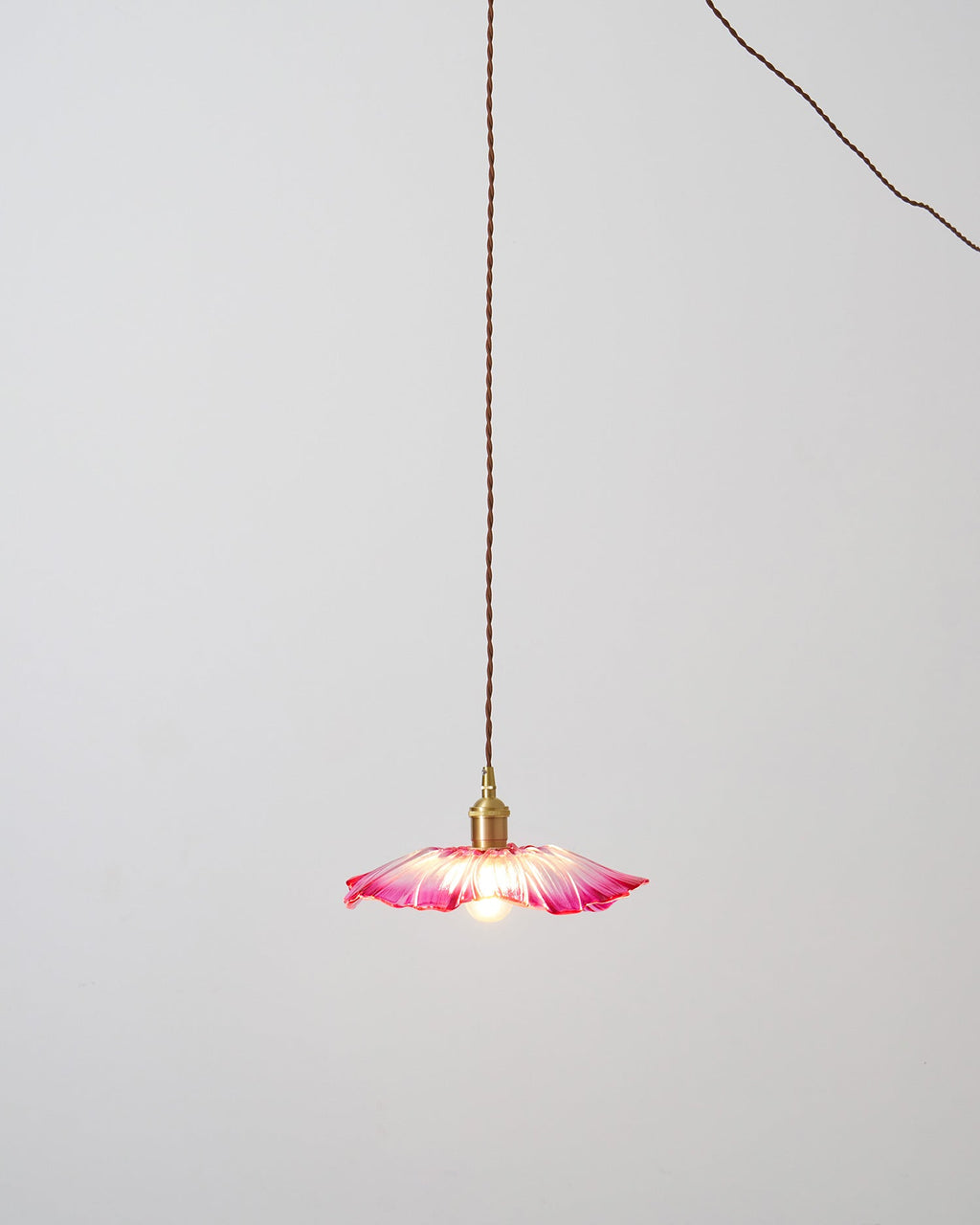 Flower Glass Plug In Pendant Lamp — product view 39