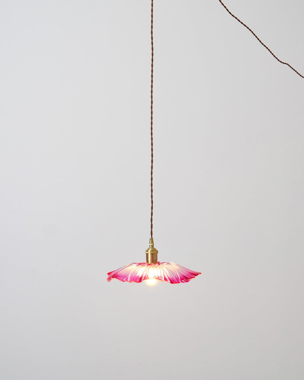 Flower Glass Plug In Pendant Lamp — product view 39