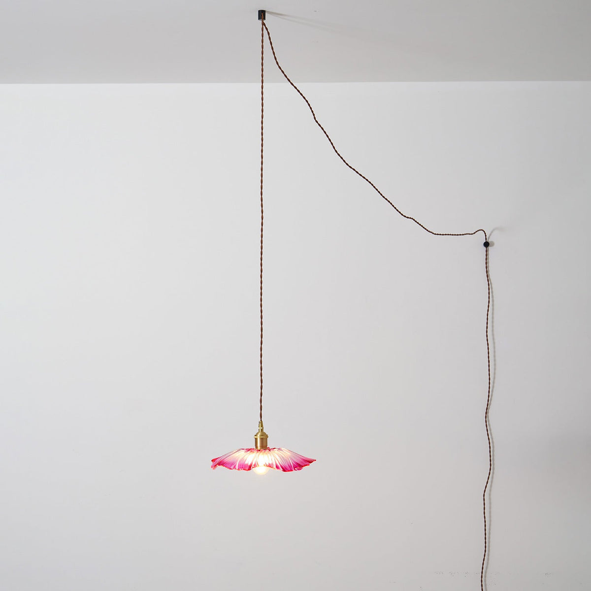 Flower Glass Plug In Pendant Lamp — product view 40