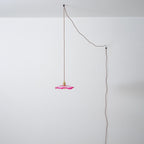 Flower Glass Plug In Pendant Lamp — product view 49