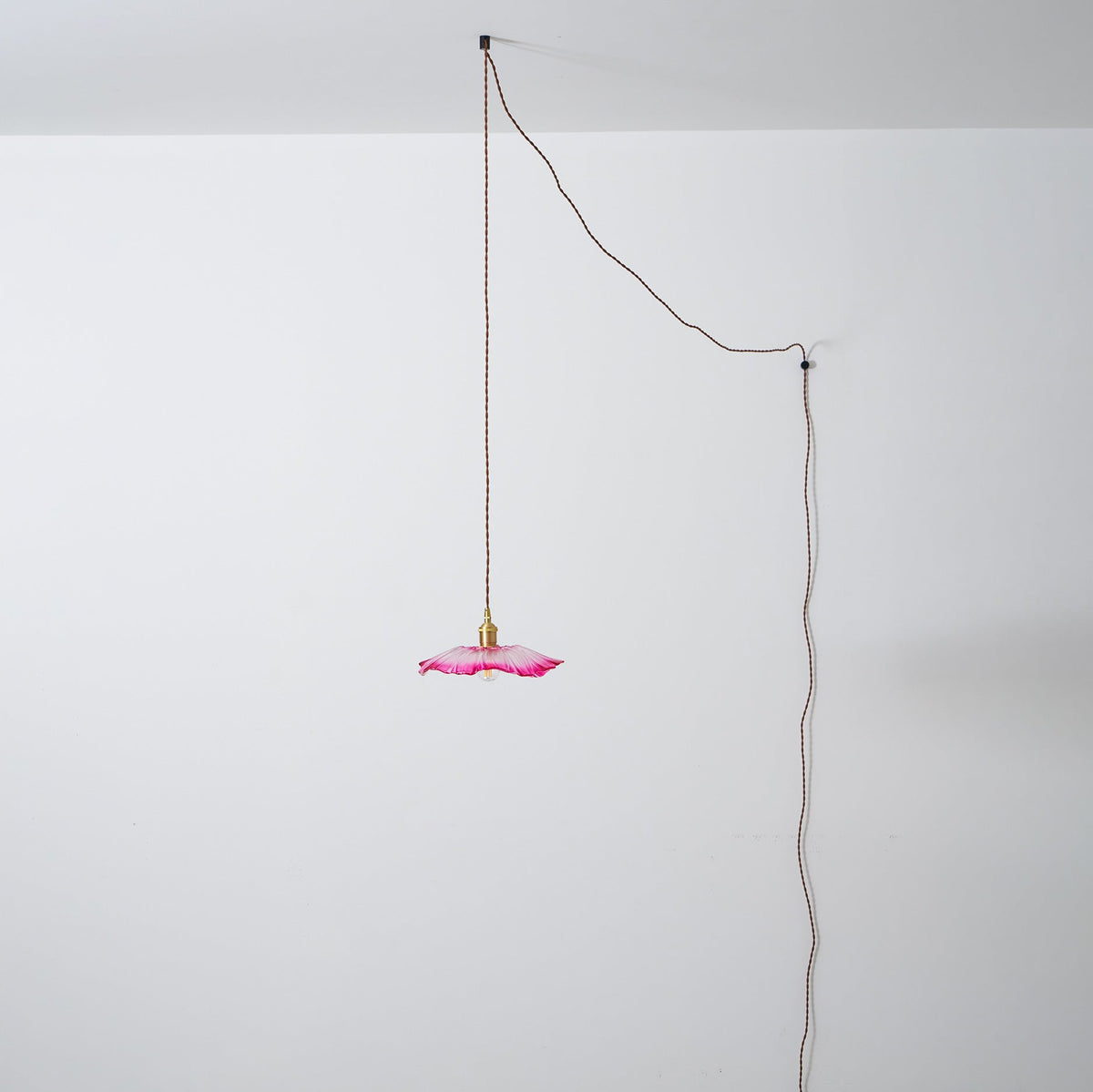 Flower Glass Plug In Pendant Lamp — product view 49