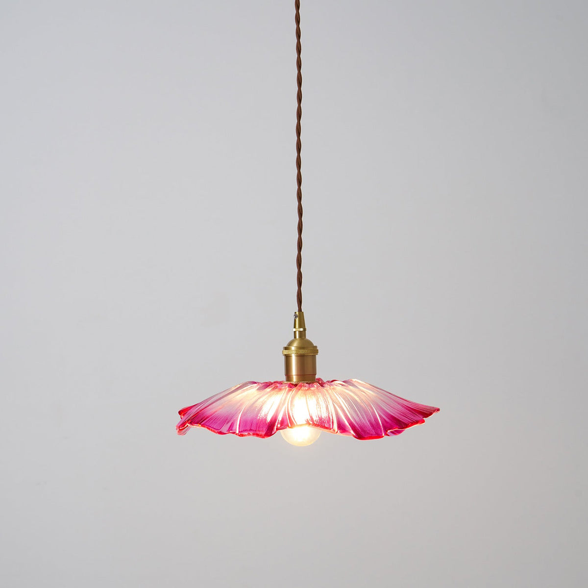 Flower Glass Plug In Pendant Lamp — product view 50