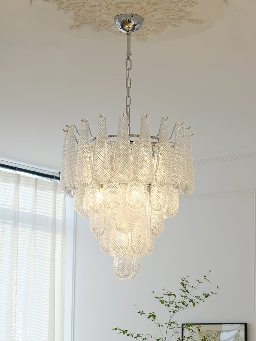 Case Glass Chandelier — product view 27