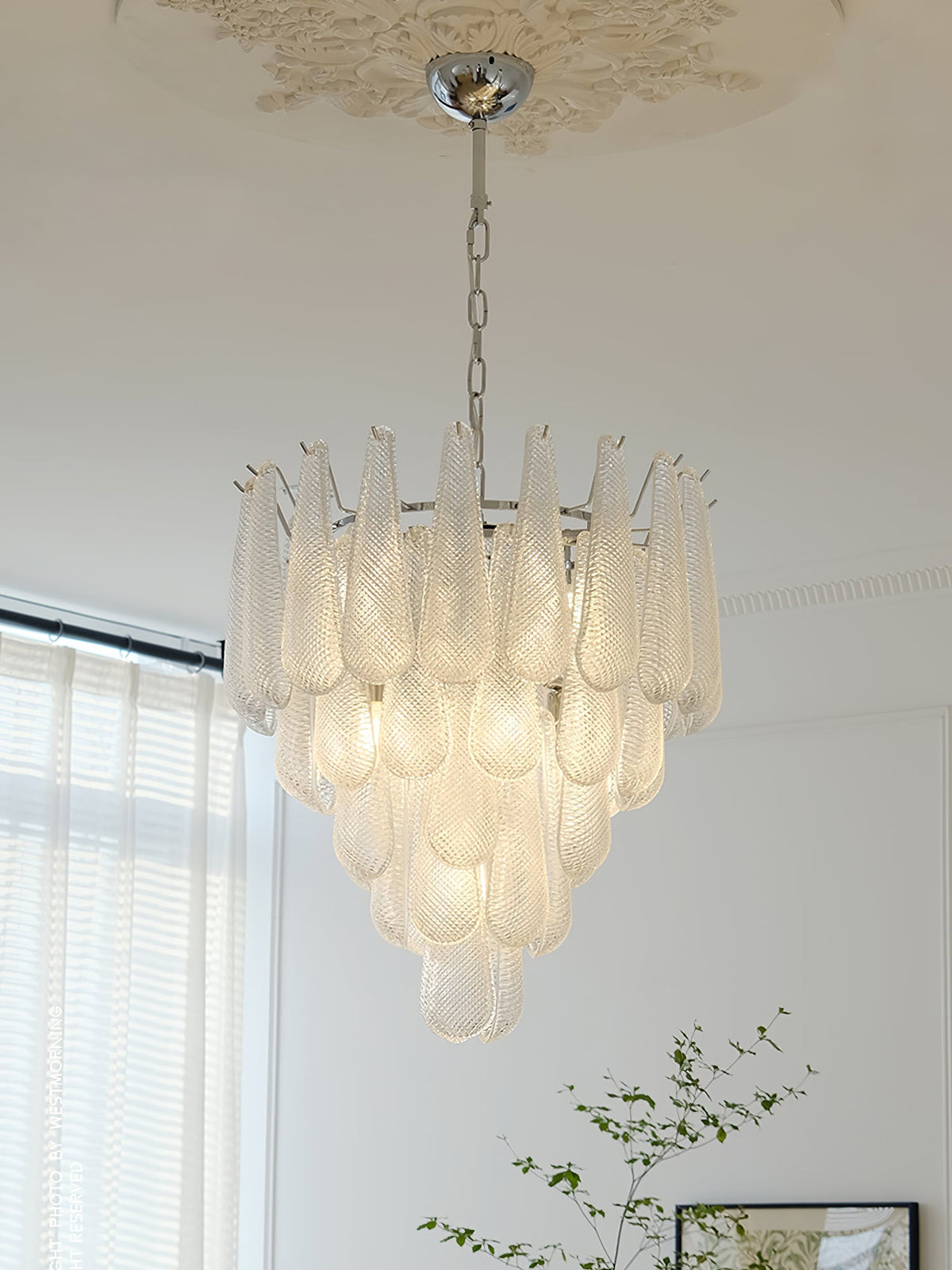 Case Glass Chandelier — product view 27