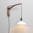 Rigale Plug In Glass Wall Lamp — product view 16