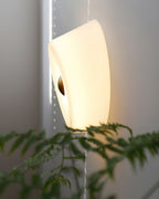 Ben Glass Wall Lamp — product view 3