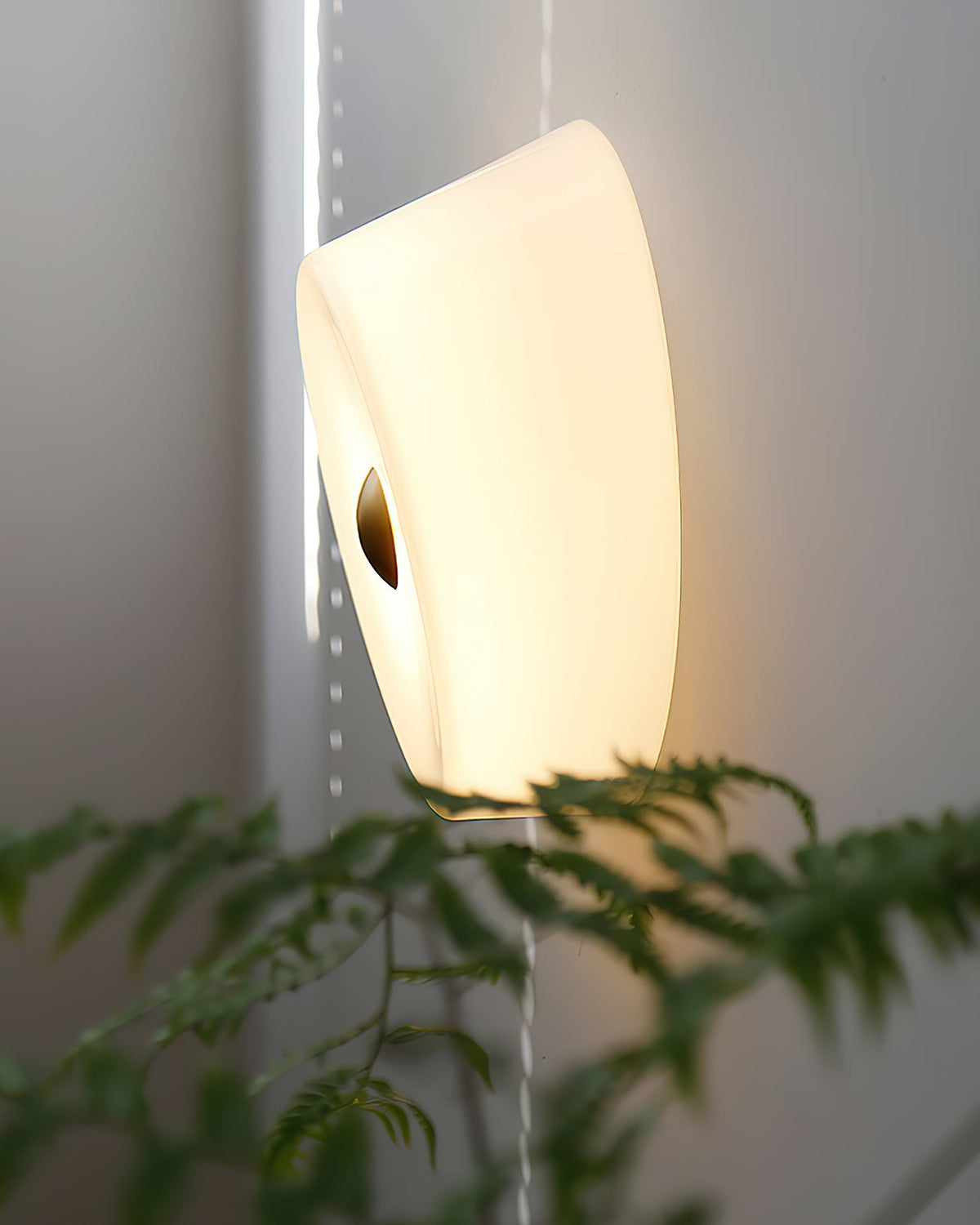 Ben Glass Wall Lamp — product view 3