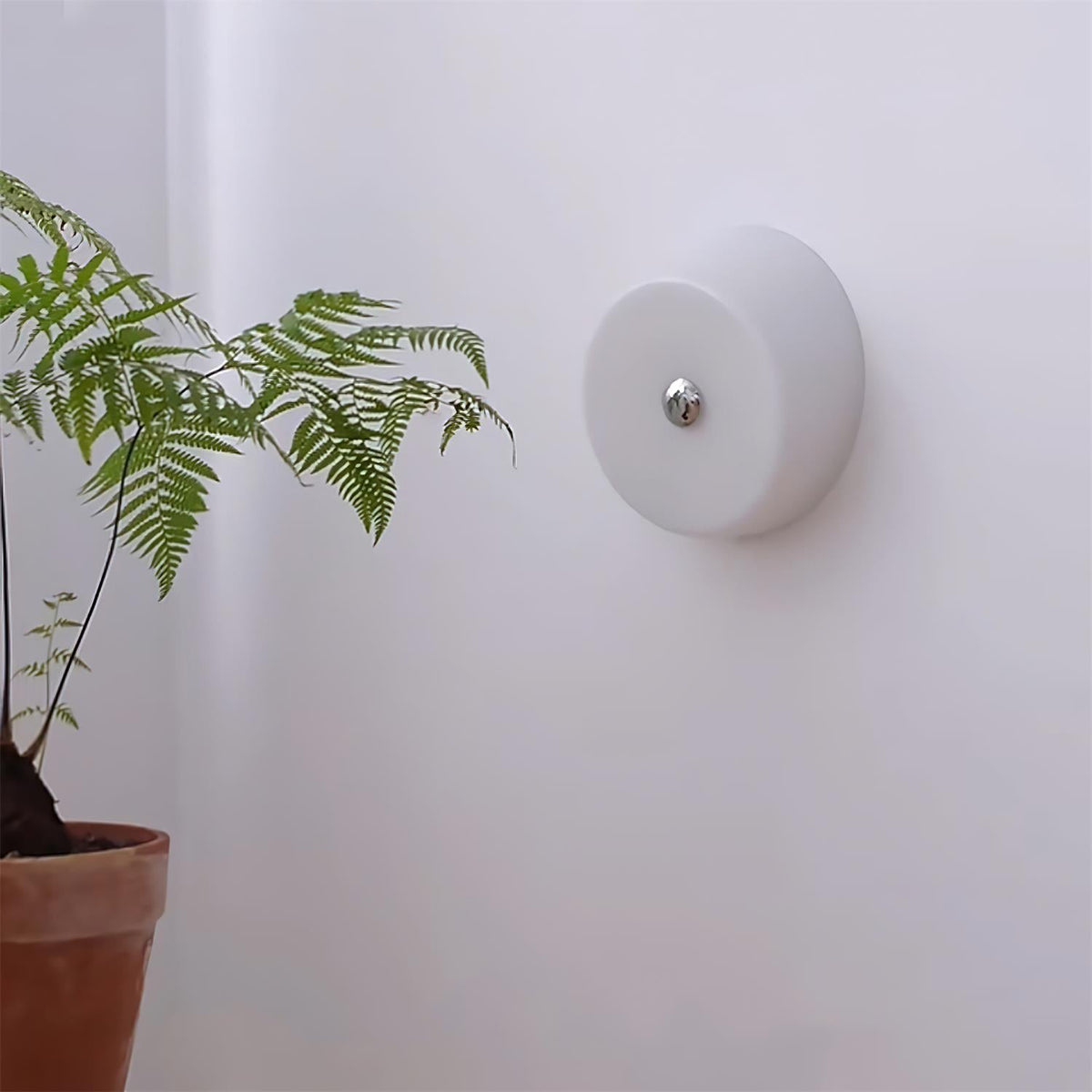Ben Glass Wall Lamp — product view 6