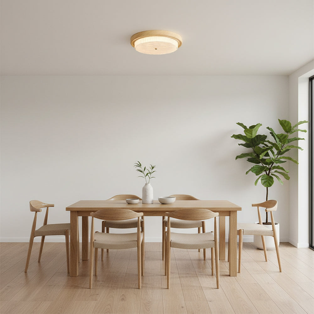 Rays Ceiling Light — product view 7