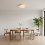 Rays Ceiling Light — product view 7