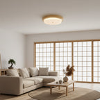 Rays Ceiling Light — product view 8