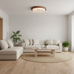 Rays Ceiling Light — product view 10