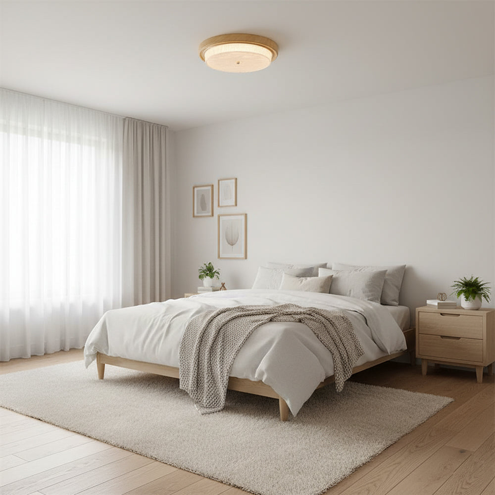 Rays Ceiling Light — product view 11