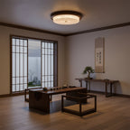 Rays Ceiling Light — product view 16