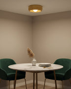 Zuwa Ceiling Light — product view 11