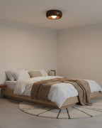 Zuwa Ceiling Light — product view 12