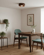 Zuwa Ceiling Light — product view 14