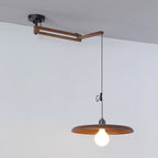 Carlyle Metal Pendant Lamp — product view 15