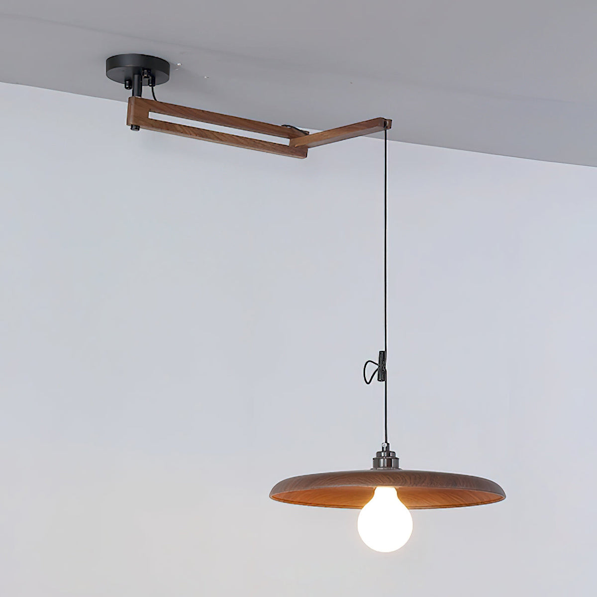 Carlyle Metal Pendant Lamp — product view 15