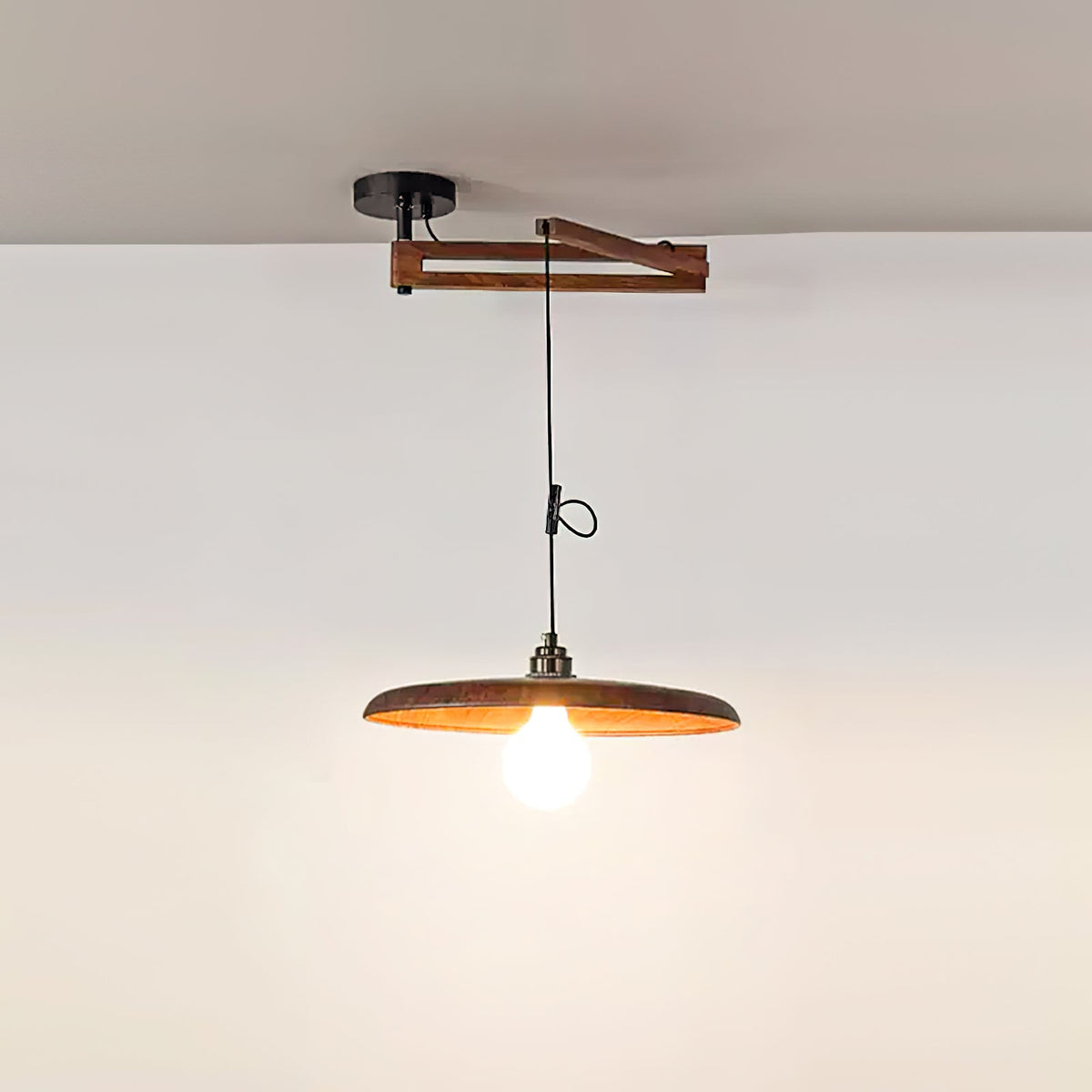 Carlyle Metal Pendant Lamp — product view 17