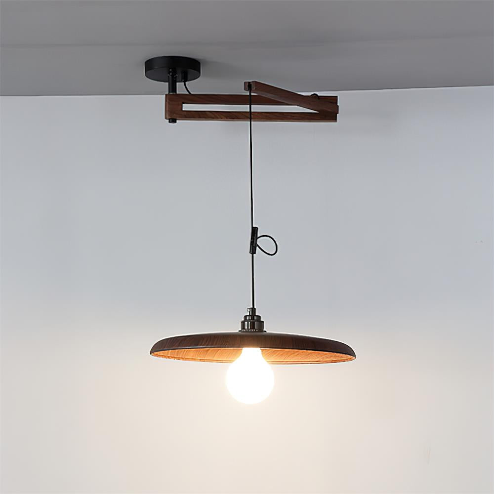 Carlyle Metal Pendant Lamp — product view 19