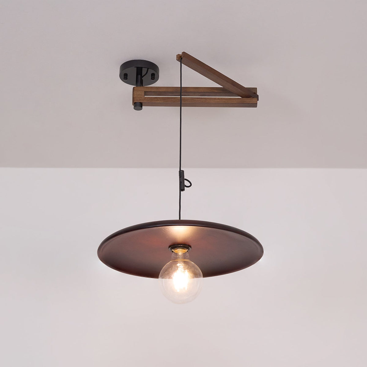 Carlyle Metal Pendant Lamp — product view 20