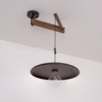 Carlyle Metal Pendant Lamp — product view 21