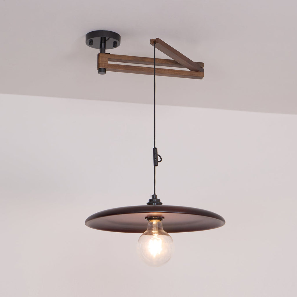 Carlyle Metal Pendant Lamp — product view 24