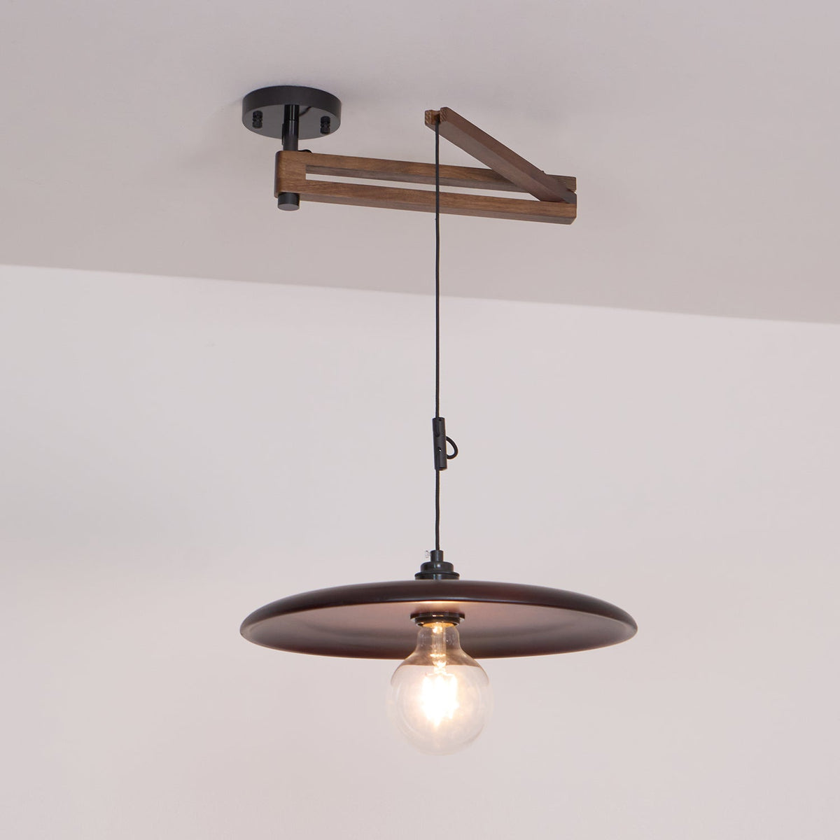 Carlyle Metal Pendant Lamp — product view 24