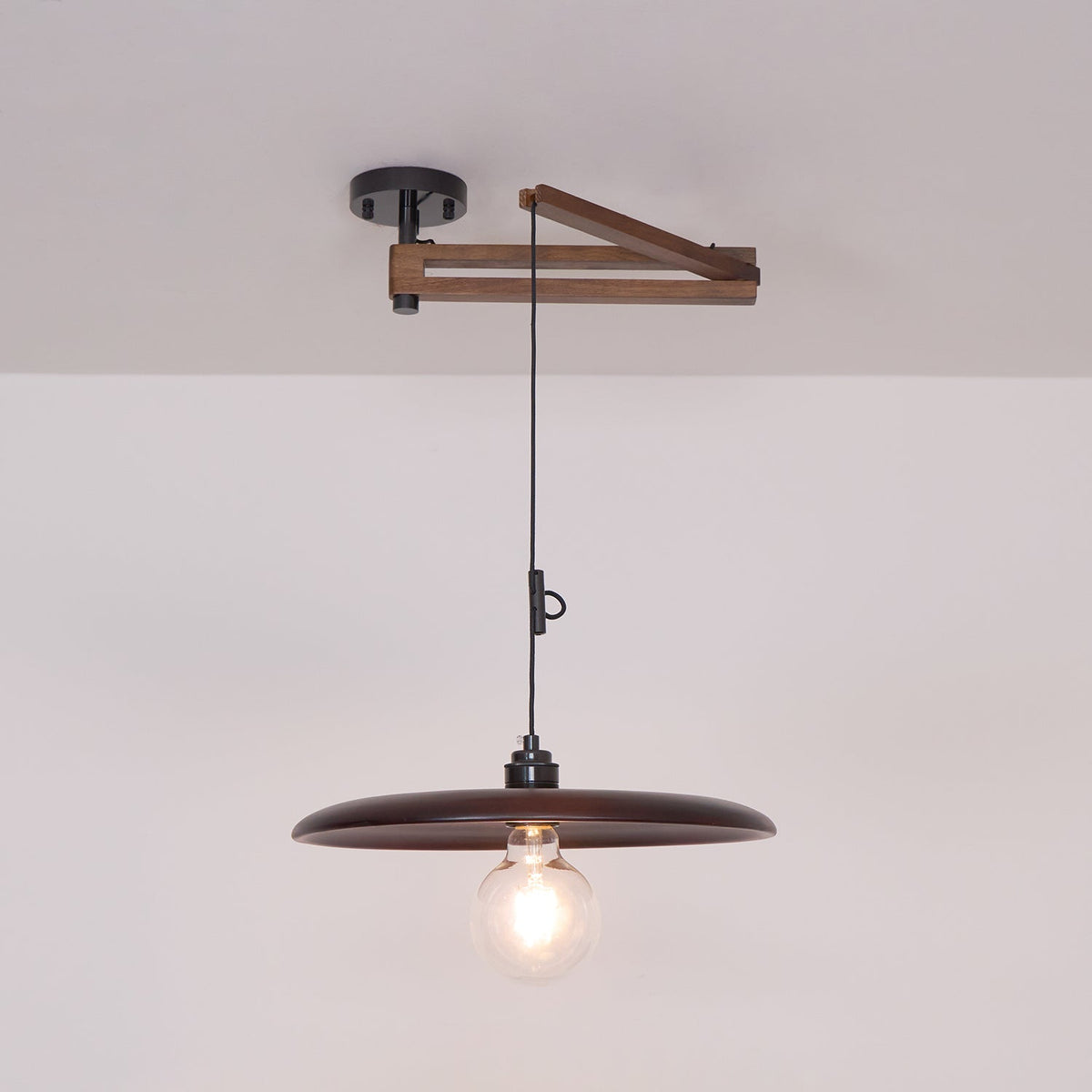 Carlyle Metal Pendant Lamp — product view 25
