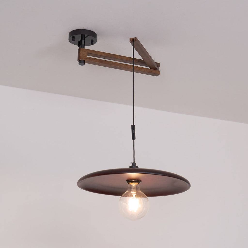 Carlyle Metal Pendant Lamp — product view 27