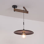Carlyle Metal Pendant Lamp — product view 27