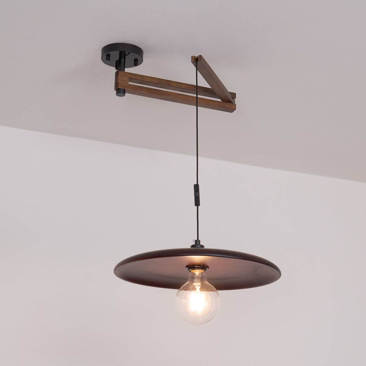 Carlyle Metal Pendant Lamp — product view 27