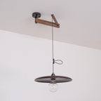 Carlyle Metal Pendant Lamp — product view 28