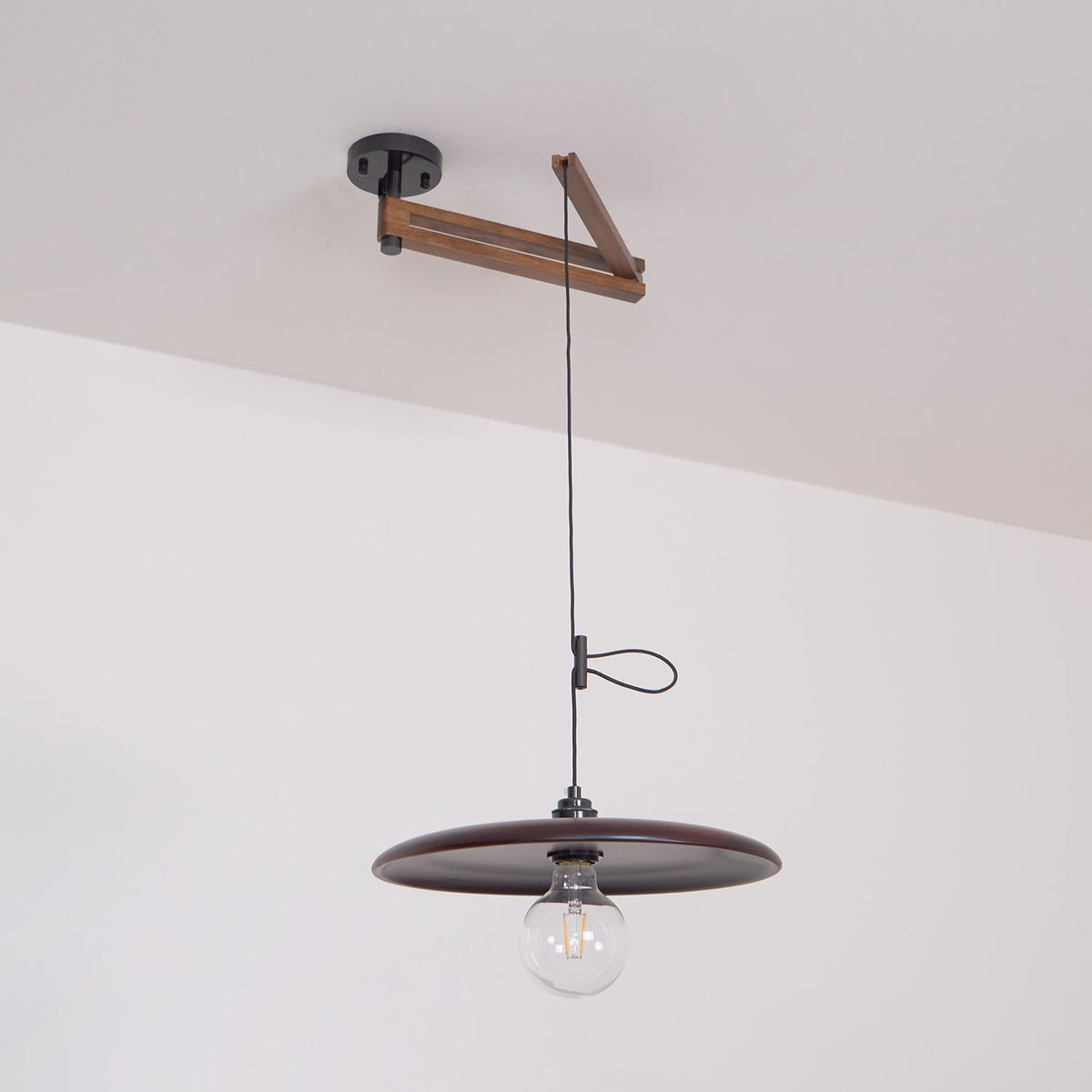Carlyle Metal Pendant Lamp — product view 28