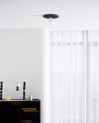 Circa Metal Ceiling Light — product view 16