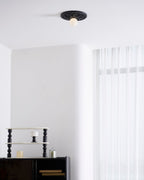 Circa Metal Ceiling Light — product view 17