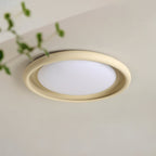Nuria Acrylic Ceiling Light — product view 2