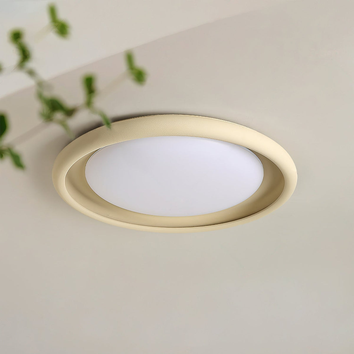 Nuria Acrylic Ceiling Light — product view 2